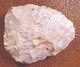 Biface