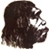 homme de neandertal