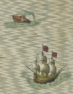 cetace cétacé